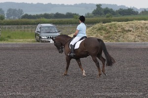 ISIS Dressage Challenge 2008